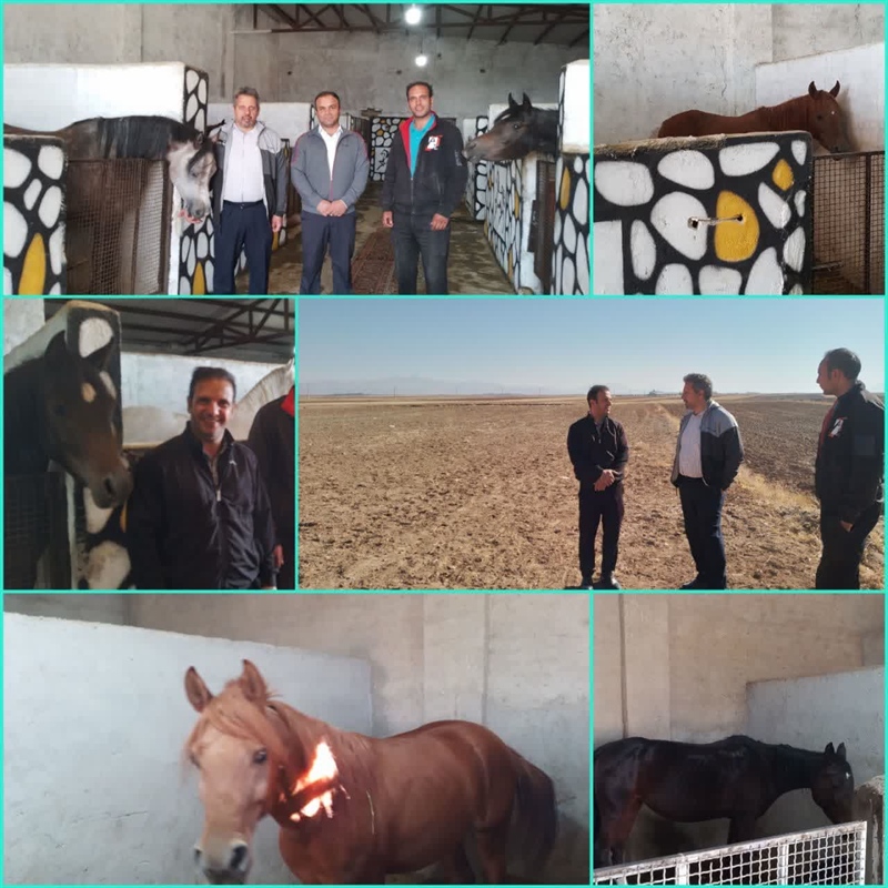 تأثیرمثبت صنعت اسب و اسب سواری بر توریسم و گردشگری ورزشی در سطح شهرستان رزن