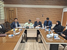 نشست هم‌اندیشی مسئولان ورزش استان همدان با مدیران باشگاه‌های خصوصی بانوان برگزار شد