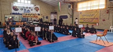 نتایج مسابقات قهرمانی هیات کونگ فو و هنرهای رزمی استان همدان