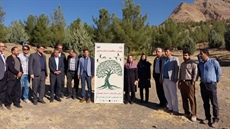 پویش سلامت و تندرستی با غرس نهال گرامیداشت هفته تربیت بدنی و ورزش در شهرستان ملایر