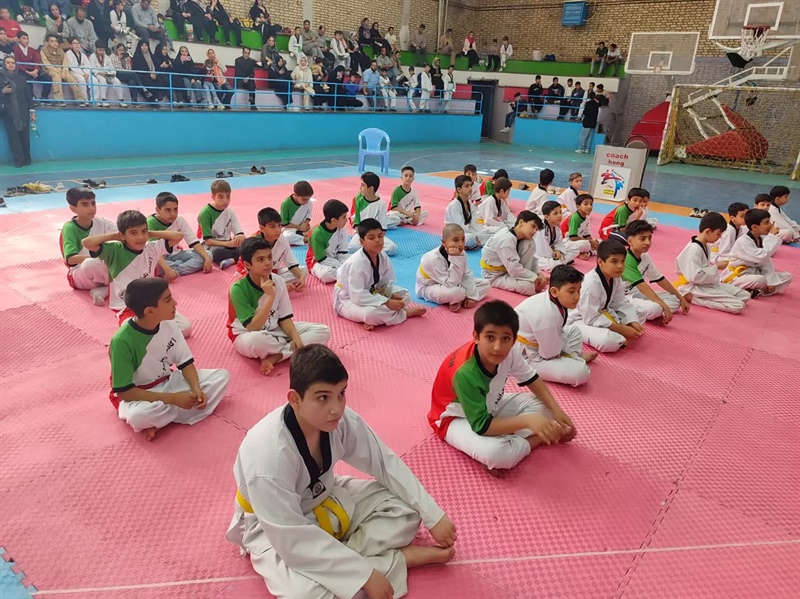 منتخبین مسابقات قهرمانی خردسالان پسر تکواندو شهرستان ملایر مشخص گردید