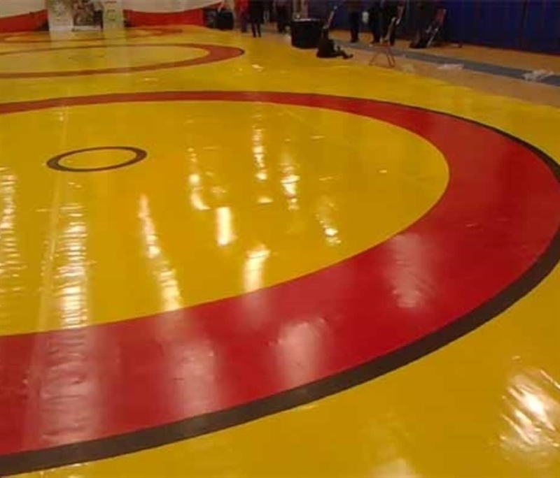 محرومیت عوامل درگیری نهاوند از حضور در مسابقات و اماکن کشتی استان