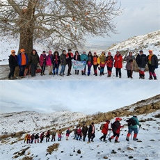 برگزاری همایش کوهنوردی و پیاده‌روی در طبیعت