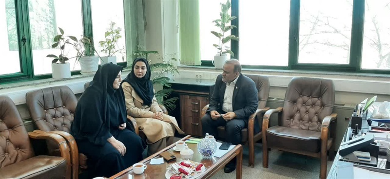 اولین جلسه هماهنگی طرح "دا" در روستاهای استان همدان