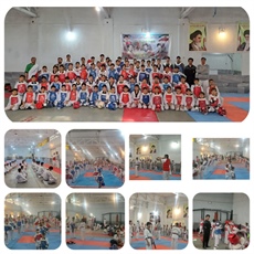 برگزاری اردوی آمادگی و تمرینی مشترک تکواندو ویژه پسران در شهرستان ملایر