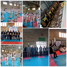 برگزاری مسابقات جشنواره کیوکوشین کاراته در تویسرکان