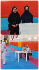 برگزاری کارگاه آموزشی پیش آزمون هیات تکواندو استان همدان