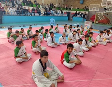 منتخبین مسابقات قهرمانی خردسالان پسر تکواندو شهرستان ملایر مشخص گردید