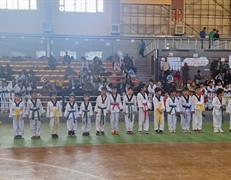 منتخبین مسابقات قهرمانی خردسالان پسر تکواندو شهرستان همدان مشخص گردید