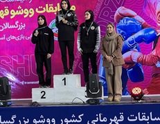 نایب‌قهرمانی ووشوکار همدانی در رقابت‌های قهرمانی کشور