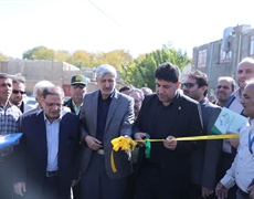 بهره‌برداری از زمین چمن عین‌آباد تویسرکان