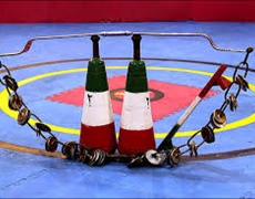 فعالیتهای ورزشی در رشته های باستانی , شطرنج و بازی های بومی محلی  در شهرستان ملایر