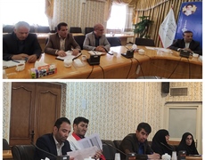 برگزاری دومین جلسه کمیته تخصصی ستاد ساماندهی امور جوانان در شهرستان اسدآباد
