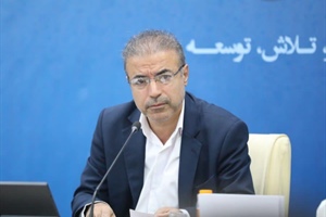 مدیران از ظرفیت سمن‌ها استفاده کنند