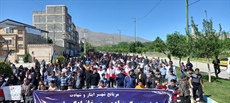 همایش پیاده روی خانوادگی  برگزار شد