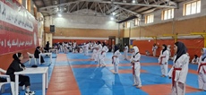 برکزاری آزمون دوره ۲۸۷ارتقای کمربند هیات تکواندو استان