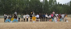 نتایج مسابقات پرش با اسب