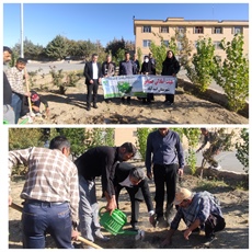 کاشت نهال در مجموعه ورزشی آزادی اسدآباد به مناسبت هفته تربیت‌بدنی و ورزش