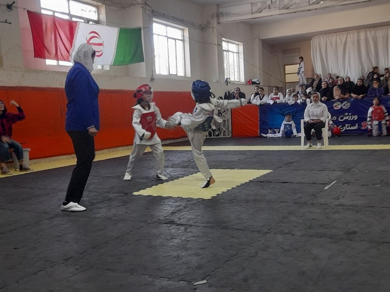 نفرات برتر مسابقات قهرمانی خردسالان دختر تکواندو شهرستان همدان مشخص گردید