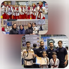 درخشش تکواندو کاران استان در لیگ پومسه دسته یک باشگاههای کشور