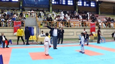 چهارمین دورهٔ مسابقات قهرمانی کشور آقایان سبک شوتوکان WJKA