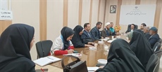 برگزاری کمیته ساماندهی امور جوانان شهرستان تویسرکان با موضوع اشتغال