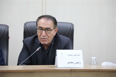 رئیس فدراسیون سوارکاری: همدان ظرفیت میزبانی رویدادهای ملی را دارد