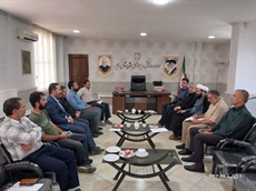 جوانان ونوجوانان ملایری از استفاده بهینه چمنهای مصنوعی سطح شهرستان برخوردار می شوند