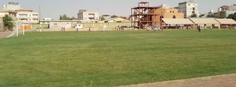شور و شوق فوتبال در زمین چمن سرداران شهید رزن پس از احیا
