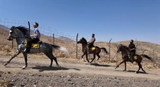 اسب‌ها به استقبال گردشگری رفتند