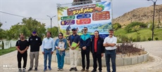 برگزاری مسابقات چندجانبه دوچرخه‌سواری در تویسرکان با حضور ورزشکاران چهار استان