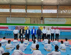 منتخبین مسابقات قهرمانی خردسالان و نونهالان تکواندو شهرستان ملایر مشخص گردید